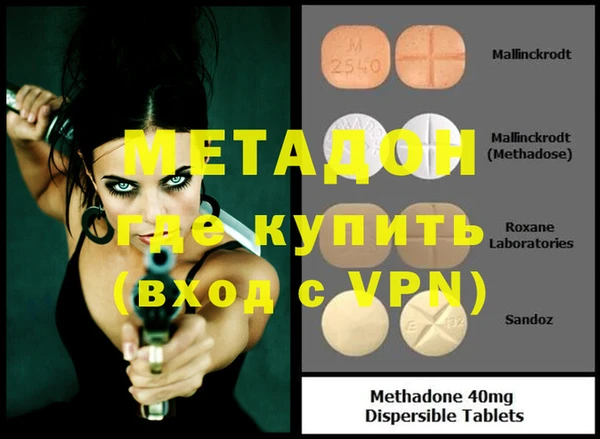 шишки Ельня