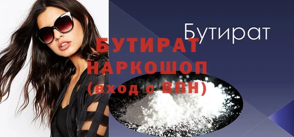 шишки Ельня