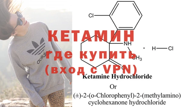 шишки Ельня