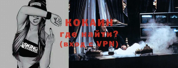 шишки Ельня