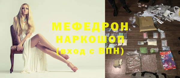 шишки Ельня