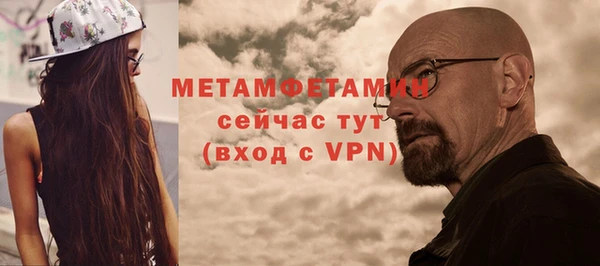 шишки Ельня