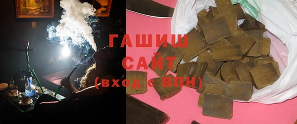 шишки Ельня