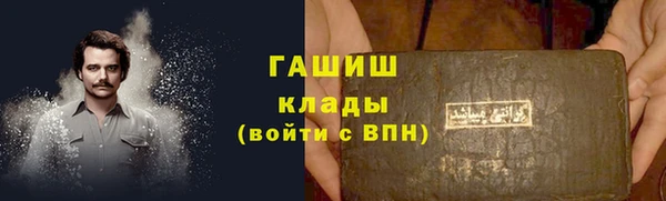 шишки Ельня