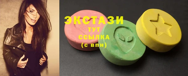 шишки Ельня