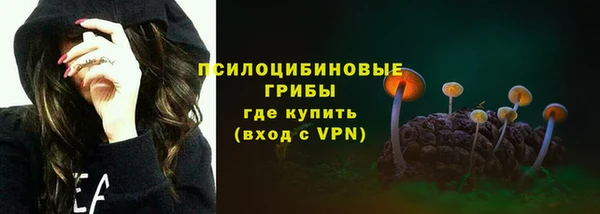 шишки Ельня
