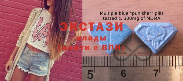 шишки Ельня