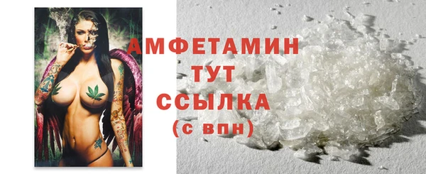 шишки Ельня