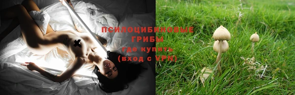 гашишное масло Елизово