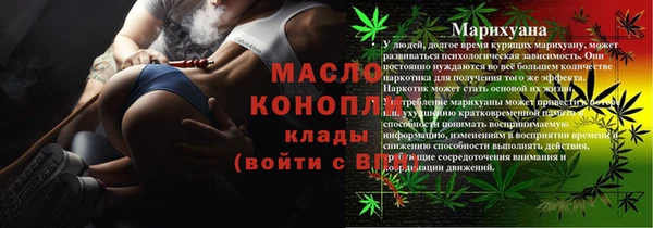 шишки Ельня