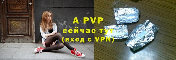 шишки Ельня