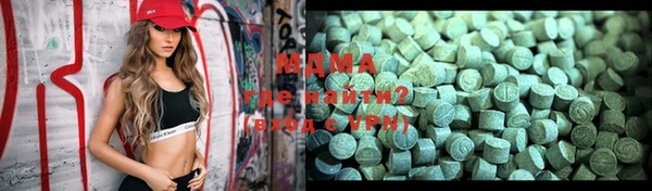 шишки Ельня