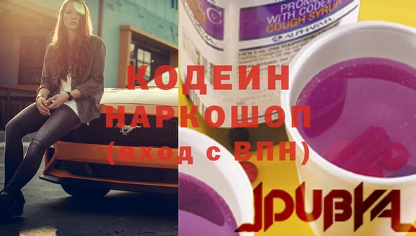 шишки Ельня