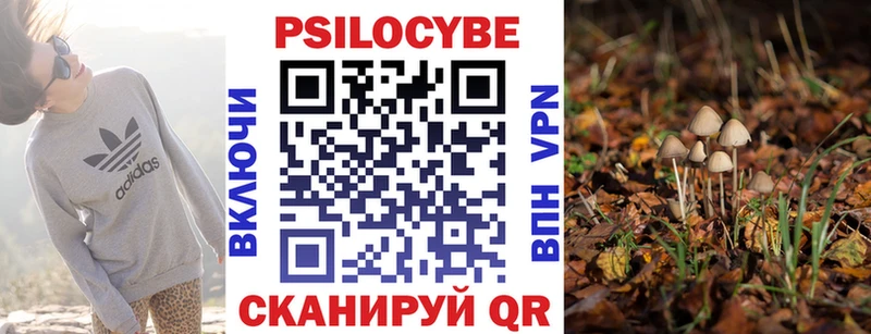 МЕГА ссылки  где купить   Южно-Сахалинск  Галлюциногенные грибы Cubensis 